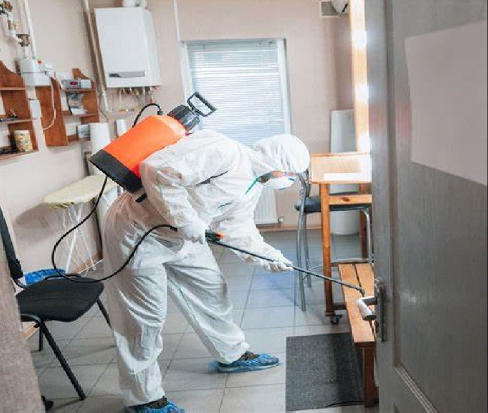 Pest Control Services: Keeping Your Home Healthy and Hygienic